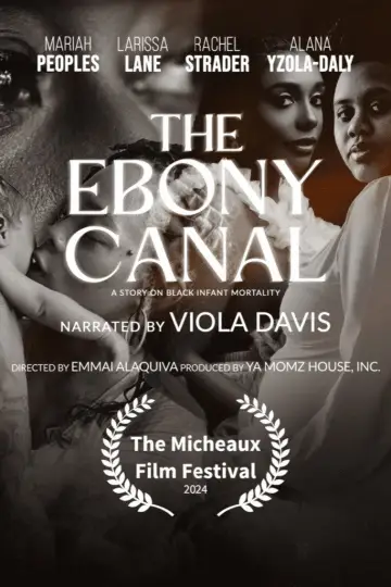 The Ebony Canal: A Story of Black Infant Mortality постер