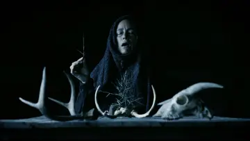Задник до фильму"Mother of Flies" #551121