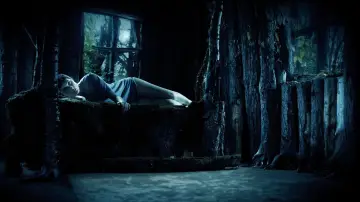 Задник до фильму"Mother of Flies" #551131