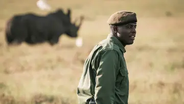 Задник до фильму"Rhino" #923507