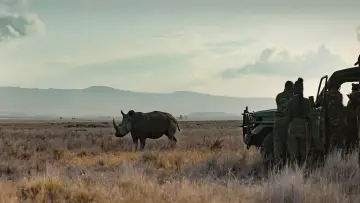 Задник до фильму"Rhino" #923510