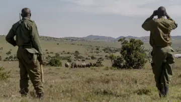 Задник до фильму"Rhino" #923519