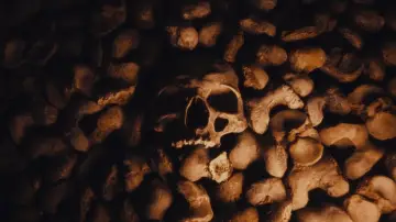 Задник до фильму"Queens of the Stone Age: Alive in the Catacombs" #940697