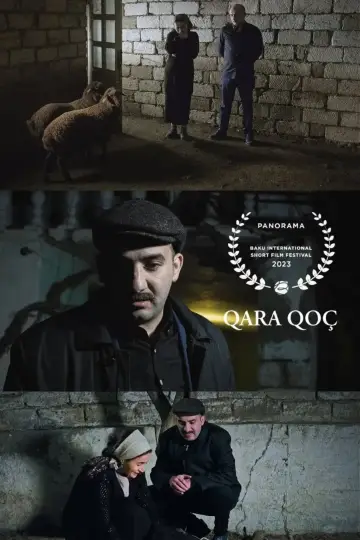 Qara Qoç