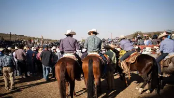Задник до фильму"Jaripeo" #540316