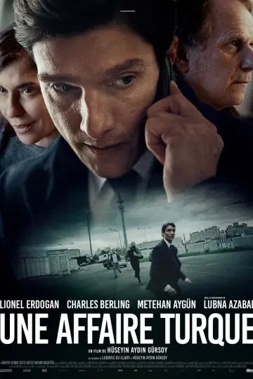 Une affaire turque постер