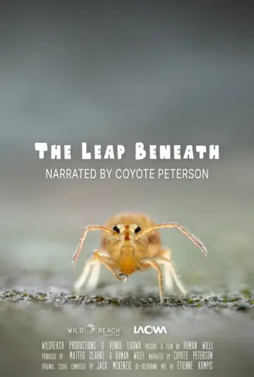 Постер до фильму"The Leap Beneath" #801944