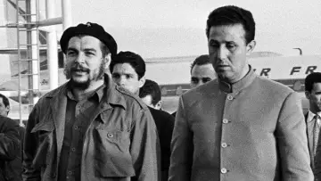 Задник до фільму "Alger, la Mecque des Révolutionnaires (1962-1974)" #970431