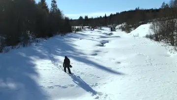Задник до фільму "Arctic