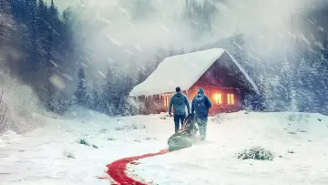 Задник до фільму "Arctic