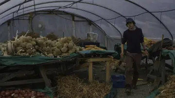 Задник до фильму"Нічні рухи" #461578