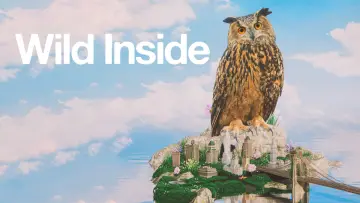 Задник до фильму"Wild Inside" #1176431