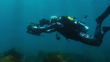 Задник до фільму "Sharks Up Close with Bertie Gregory" #792997