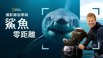Задник до фільму "Sharks Up Close with Bertie Gregory" #793002
