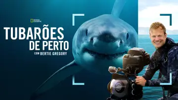 Задник до фільму "Sharks Up Close with Bertie Gregory" #793003