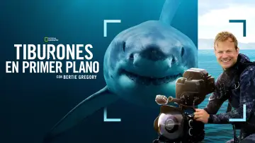 Задник до фільму "Sharks Up Close with Bertie Gregory" #793006
