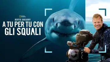 Задник до фільму "Sharks Up Close with Bertie Gregory" #793007