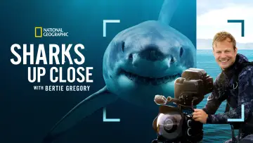 Задник до фільму "Sharks Up Close with Bertie Gregory" #793015