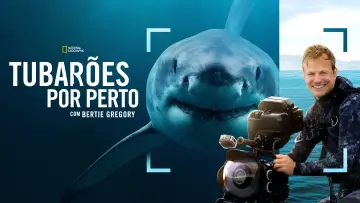 Задник до фільму "Sharks Up Close with Bertie Gregory" #793023