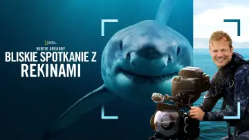Задник до фільму "Sharks Up Close with Bertie Gregory" #793026