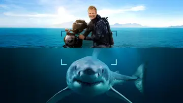 Задник до фільму "Sharks Up Close with Bertie Gregory" #793027