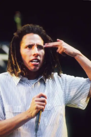 Rage Against The Machine - Live at Pinkpop Festival 1994 постер