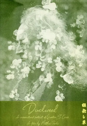 Постер до фильму"Duckweed" #879152
