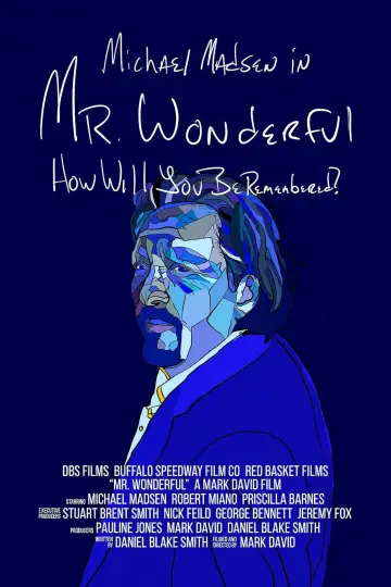 Mr. Wonderful постер