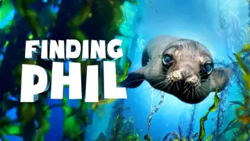 Задник до фильму"Finding Phil" #961704