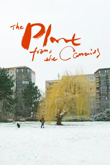 Постер до фильму"The Plant from the Canaries" #1142667