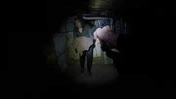 Задник до фільму "Bodycam" #763292