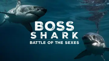 Задник до фильму"Great White Sex Battle" #981004