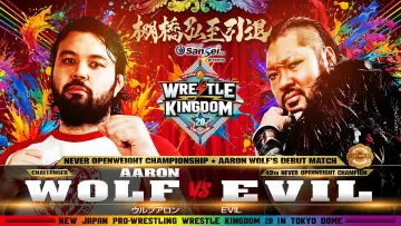 Задник до фільму "NJPW Wrestle Kingdom 20" #1295235