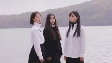 白の花実 постер