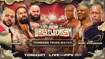 Задник до фильму"AEW WrestleDream 2025" #868178