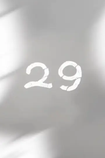 Постер до фильму"29" #1167838