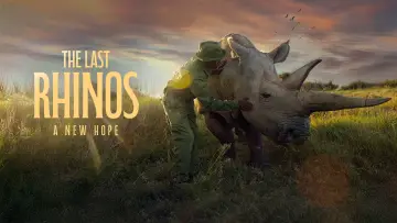 Задник до фільму "The Last Rhinos: A New Hope" #1583559