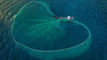 Задник до фильму"Au nom de la mer : vers une pêche durable ?" #940343