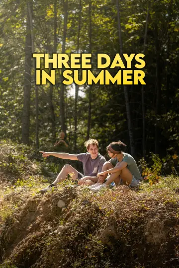 Three Days in Summer постер