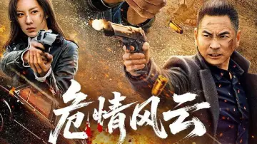 危情风云 постер