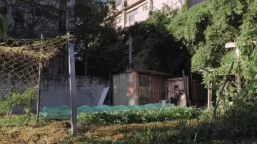 Задник до фильму"屋舍上的葉仔花" #1159224