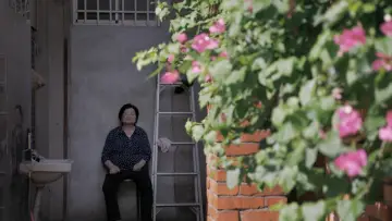 Задник до фильму"屋舍上的葉仔花" #1159225