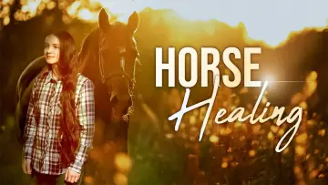 Задник до фильму"Horse Healing" #977607
