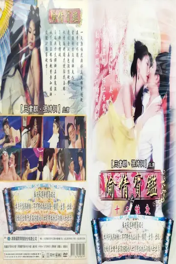 偷情宝鉴之欲海无涯 постер
