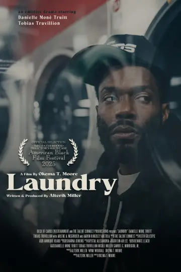 Laundry постер