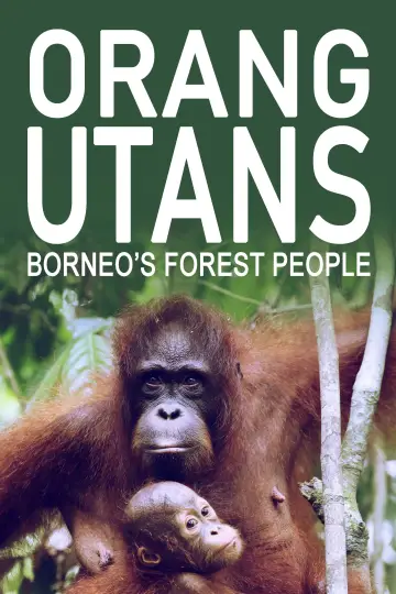 Постер до фильму"Orang-Utans - Borneos Waldmenschen" #922243