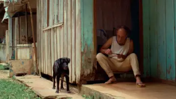 Задник до фільму "O Caçador" #973428