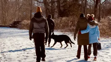 Задник до фільму "Not My Dog" #1533229