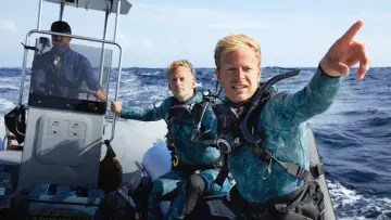 Задник до фільму "Dolphins Up Close with Bertie Gregory" #980082