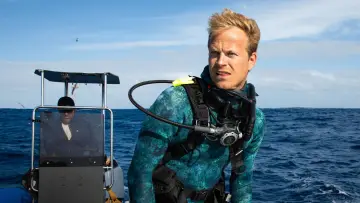 Задник до фільму "Dolphins Up Close with Bertie Gregory" #980084